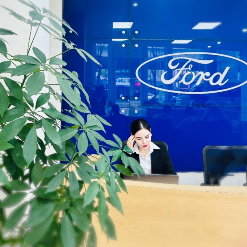 Mydinh-ford